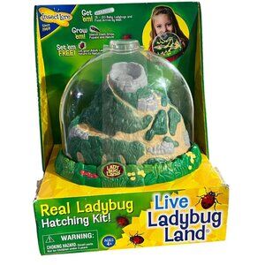 Insect Lore Live Ladybug Land Hatching Kit - Includes Habitat Magnifying Lid & A